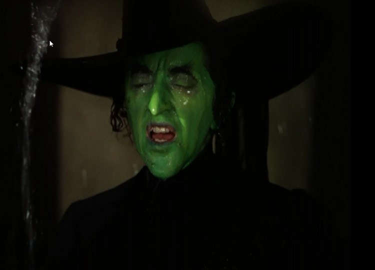 Image result for im melting wizard of oz gif