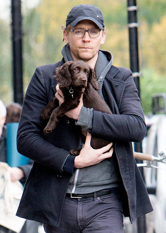 Tom-Hiddleston-with-his-dog-GOTS-London-Street-Style-Tom-Lorenzo-Site-4.jpg