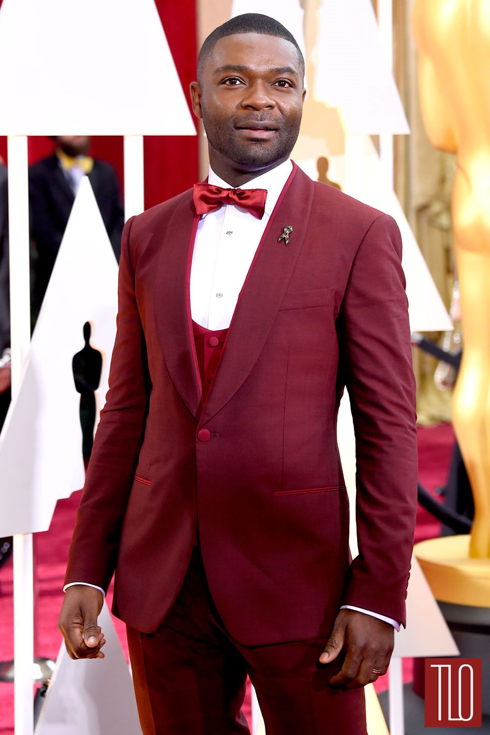David-Oyelowo-Oscars-2015-Awards-Red-Carpet-Fashion-Dolce-Gabbana-Tom-Lorenzo-Site-TLO (1)
