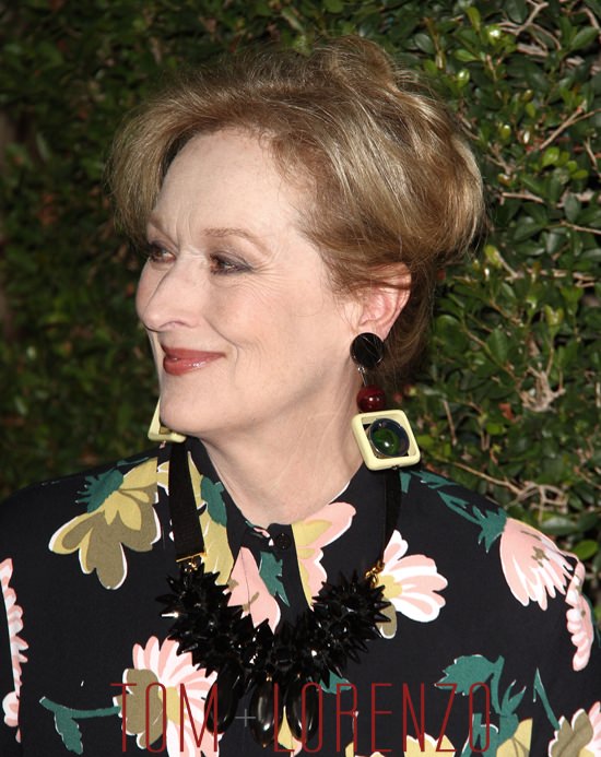 Meryl-Streep-Suffragette-LA-Premiere-Fashion-Marni-Claire-V-Tom-Lorenzo-Site (4)