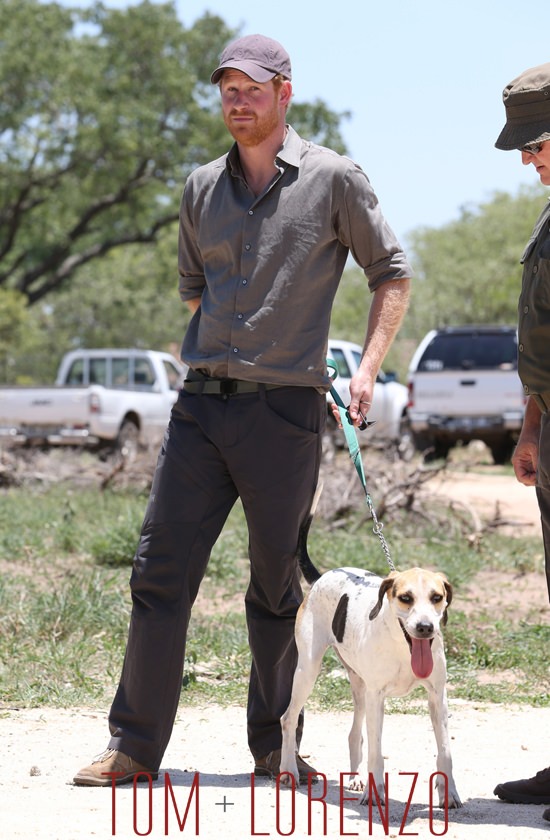 Prince-Harry-Visits-Africa-Dogs-Tom-Lorenzo-Site (11)