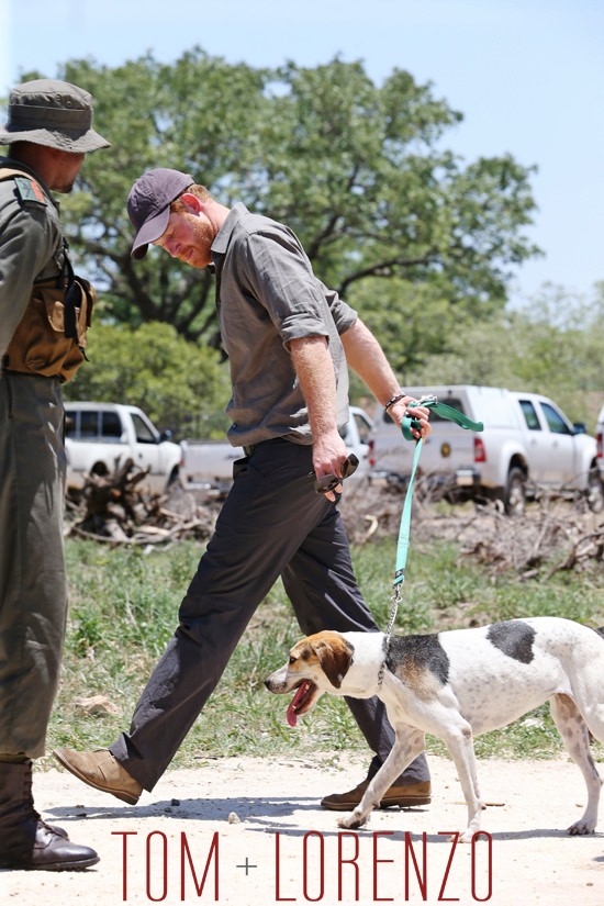 Prince-Harry-Visits-Africa-Dogs-Tom-Lorenzo-Site (12)