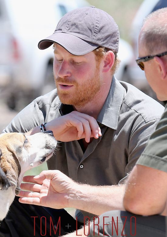 Prince-Harry-Visits-Africa-Dogs-Tom-Lorenzo-Site (8)