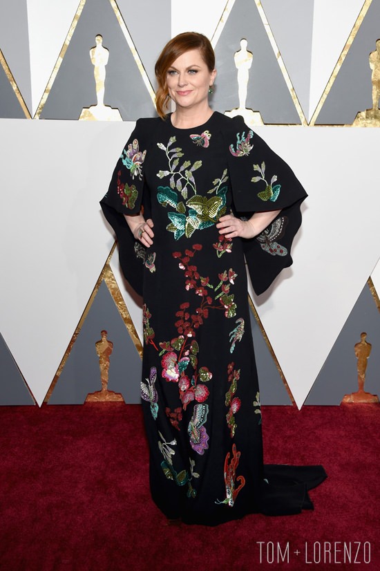13-Oscars-2016-Red-Carpet-Fashion-Tom-Lorenzo-Site-Amy Pohler