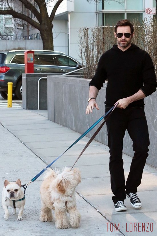 Hugh-Jackman-Walks-His-Dogs-NYC-Street-Style-Tom-Lorenzo-Site (2)