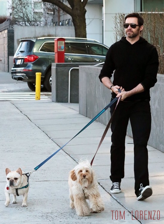 Hugh-Jackman-Walks-His-Dogs-NYC-Street-Style-Tom-Lorenzo-Site (4)