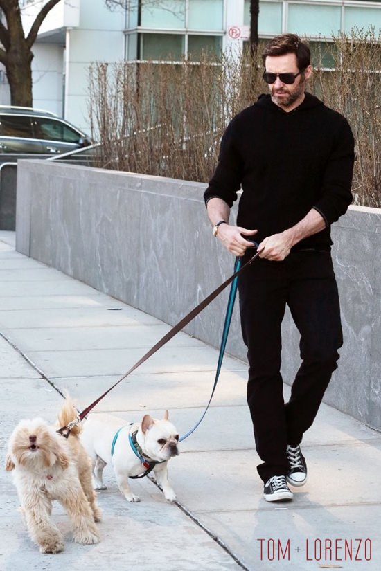 Hugh-Jackman-Walks-His-Dogs-NYC-Street-Style-Tom-Lorenzo-Site (8)