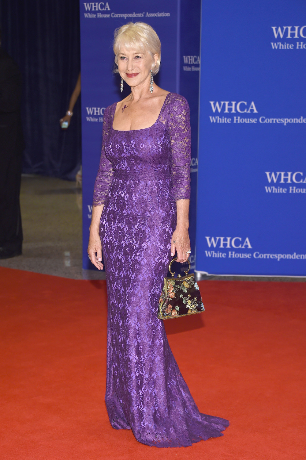 Helen-Mirren-2016-White-House-Correspondents-Dinner-WHCD-Red-Carpet-Fashion-Dolce-Gabbana-Tom-Lorenzo-Site (1)
