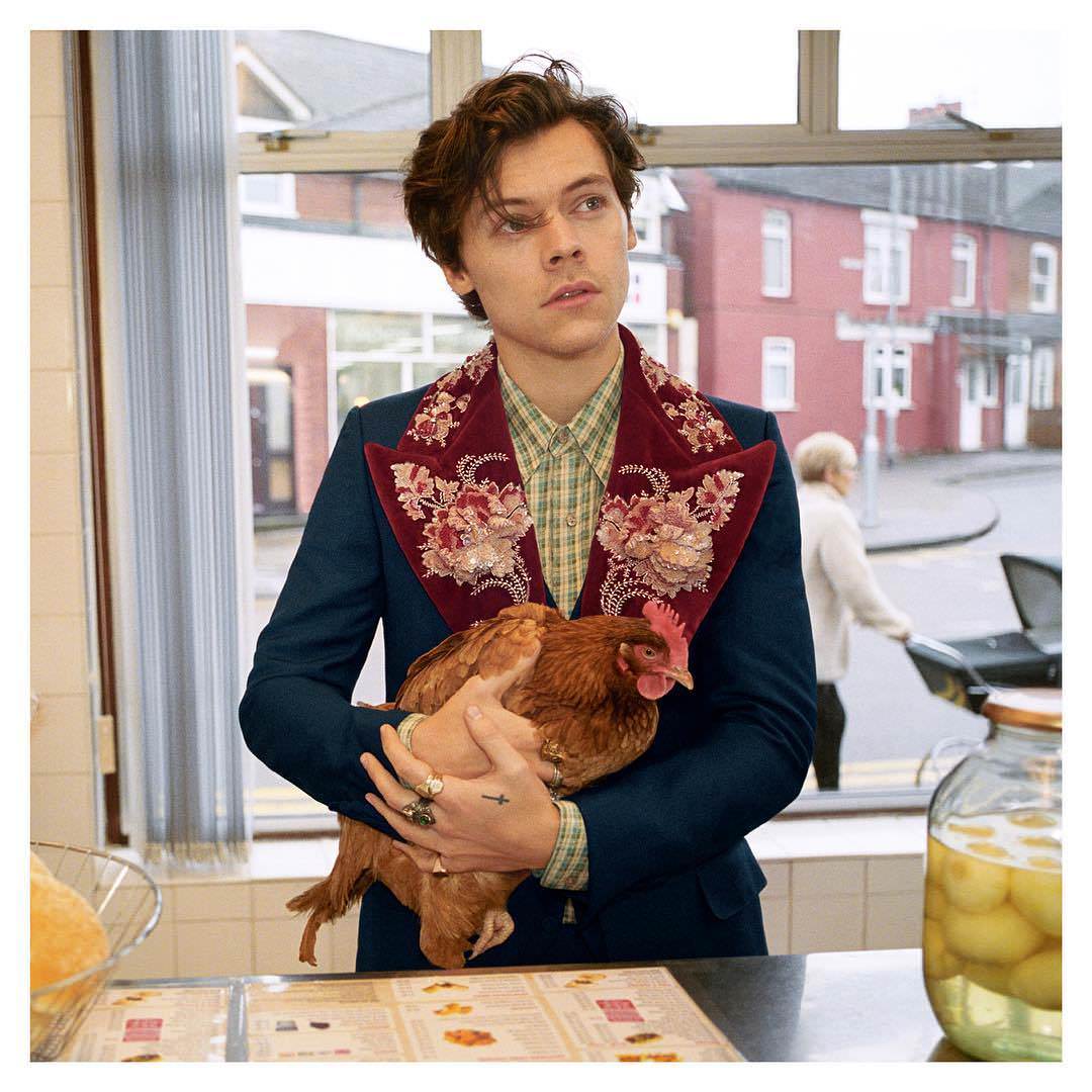 Harry Styles for the New Gucci Tailoring Ad Campaign | Tom ...