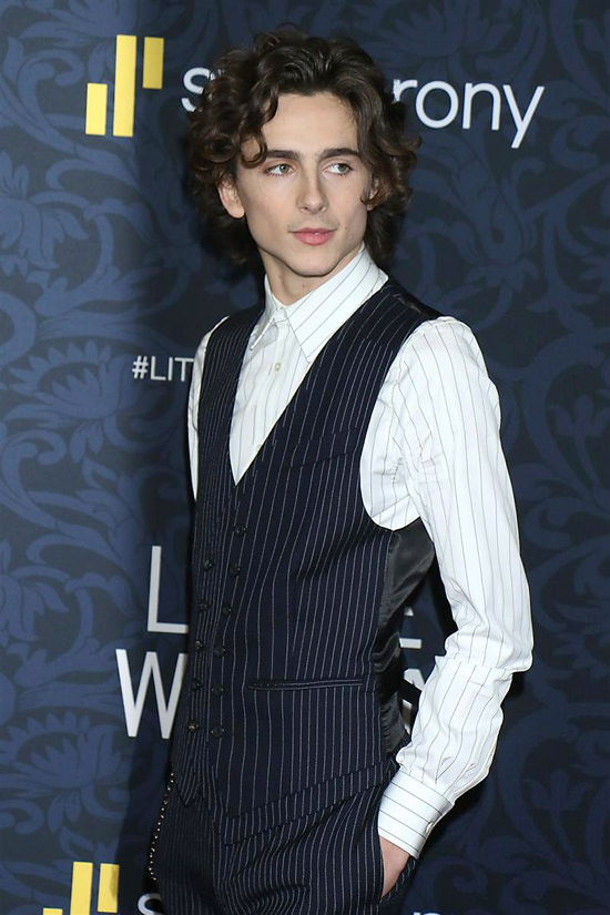 Timothée Chalamet Rocked A Keychain At A 'Little Women' Premiere