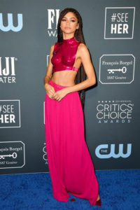 Critics’ Choice Awards 2020: Zendaya in Tom Ford: IN or OUT? - Tom ...