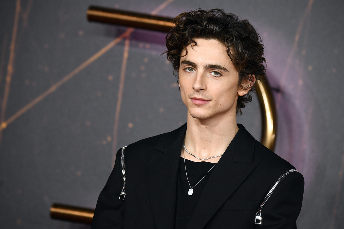 Timothée Chalamet in Alexander McQueen at the Dune London Premiere: IN or  OUT? - Tom + Lorenzo