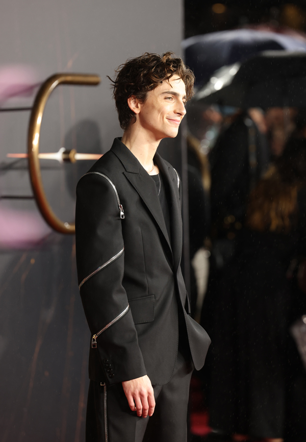 Timothée Chalamet in Alexander McQueen at the Dune London Premiere: IN or  OUT? - Tom + Lorenzo