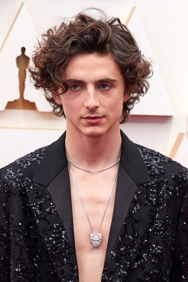 Timothee-Chalamet-Oscars-2022-Red-Carpet-Style-Fashion-Louis-Vuitton-Tom-Lorenzo-Site  (9) - Tom + Lorenzo