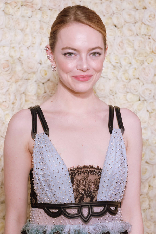 Emma Stone Wore a Sheer Lace Dress to Match Alicia Vikander at the Academy  Museum Gala
