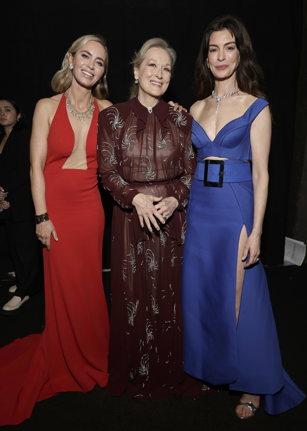 Screen Actors Guild Awards 2024 Emily Blunt, Meryl Streep and Anne
