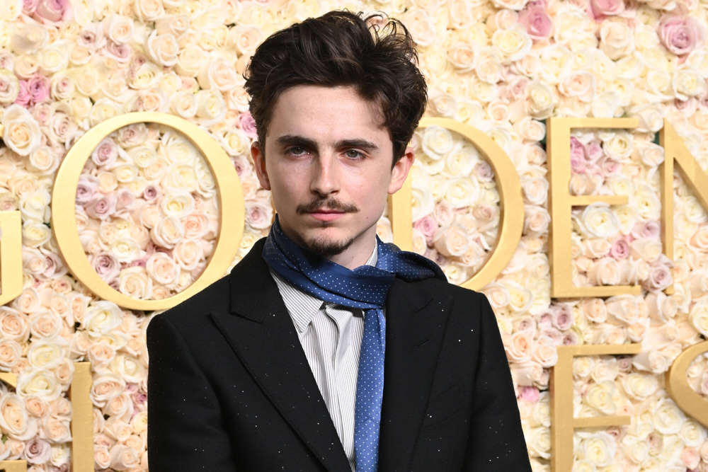 Timothée Chalamet's Printed Suit