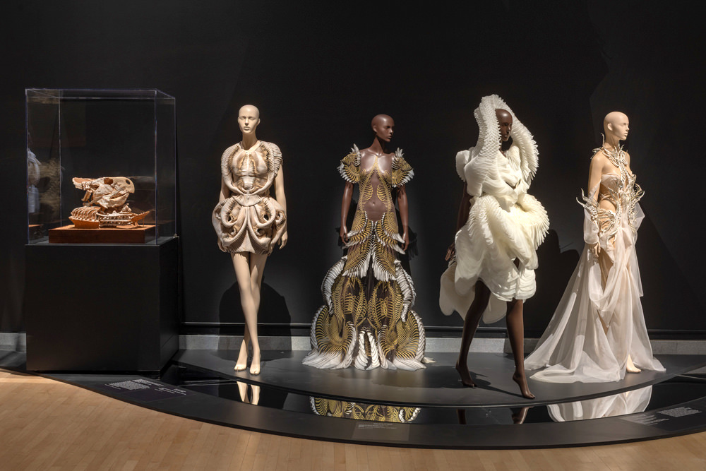 The Brooklyn Museum Presents North American Debut of IRIS VAN HERPEN: SCULPTING THE SENSES