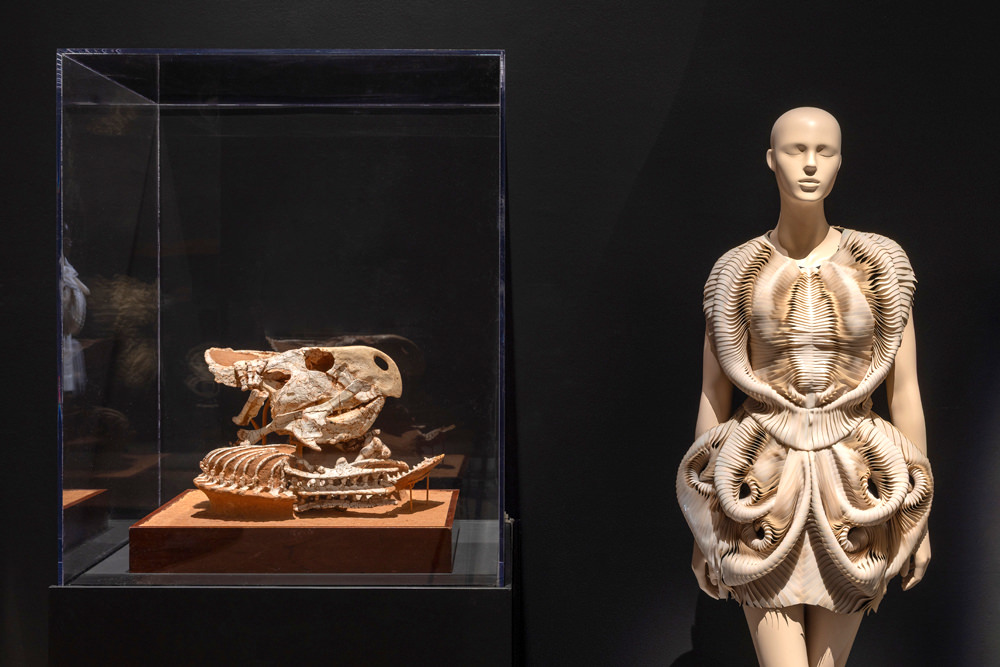 The Brooklyn Museum Presents North American Debut of IRIS VAN HERPEN: SCULPTING THE SENSES