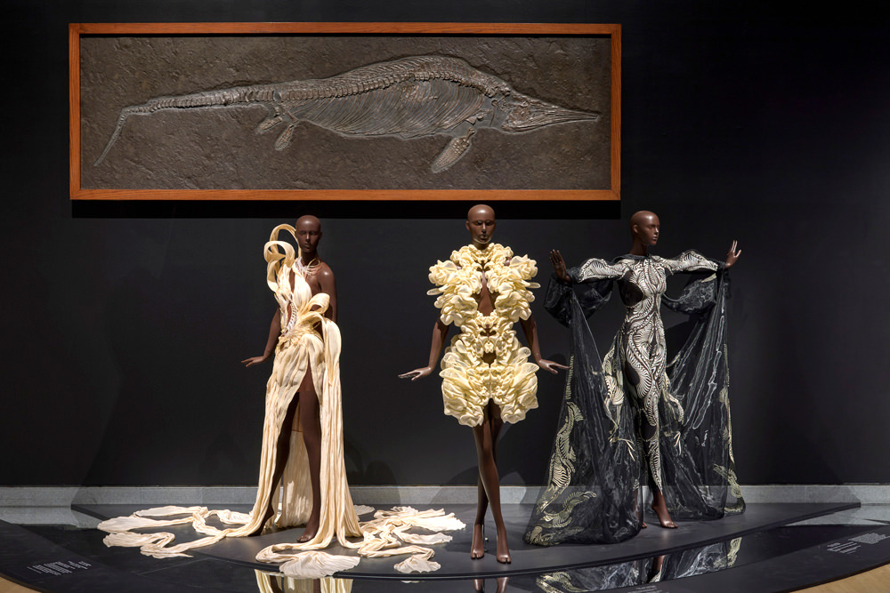 The Brooklyn Museum Presents North American Debut of IRIS VAN HERPEN: SCULPTING THE SENSES