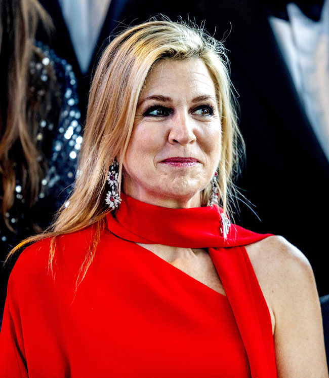 Queen Máxima of the Netherlands in Valentino at the King Willem I Awards 2026
