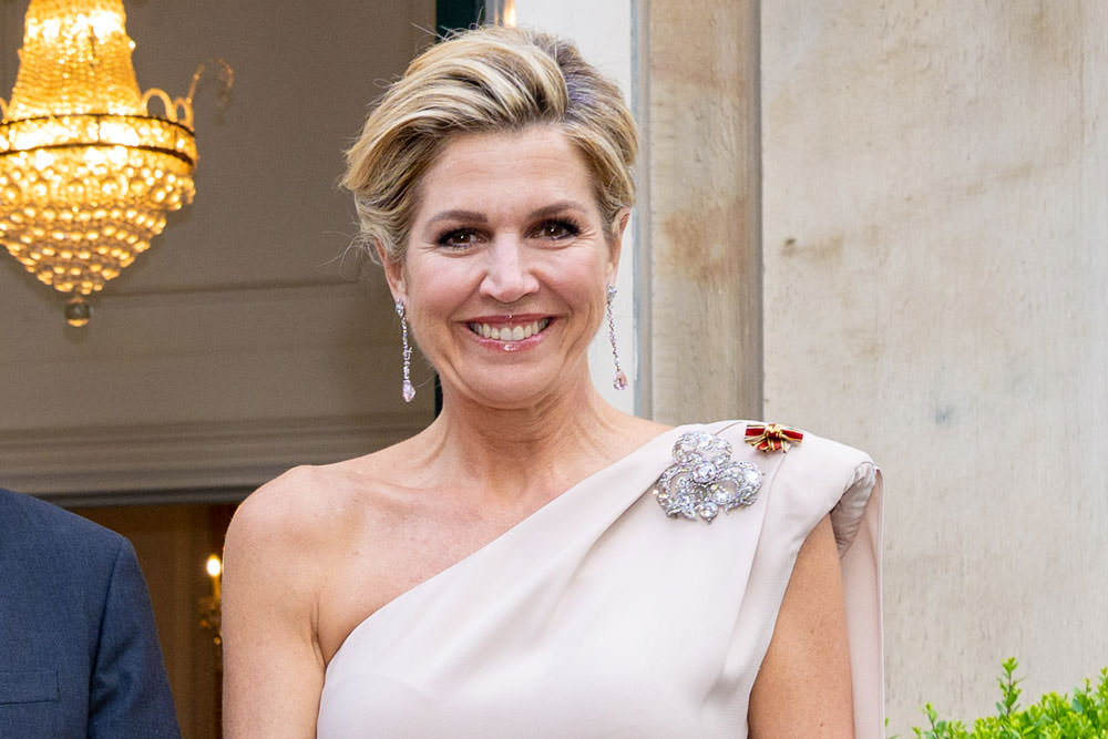Queen Máxima of the Netherlands Attends Reception at German Ambassador’s Residence in The Hague
